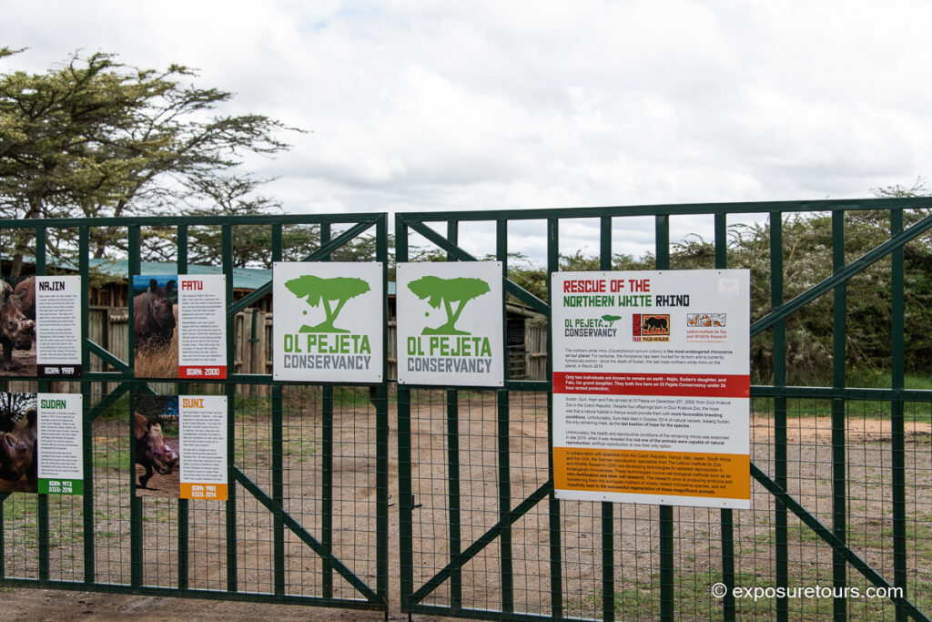 Northern White Rhino gate