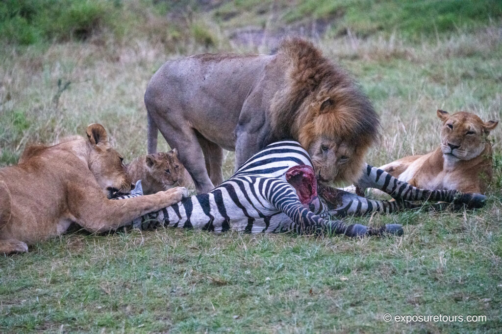 170mm  25,600 iso f5.6 1/250